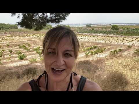 Discovering La Mata in Torrevieja -  A Special Day