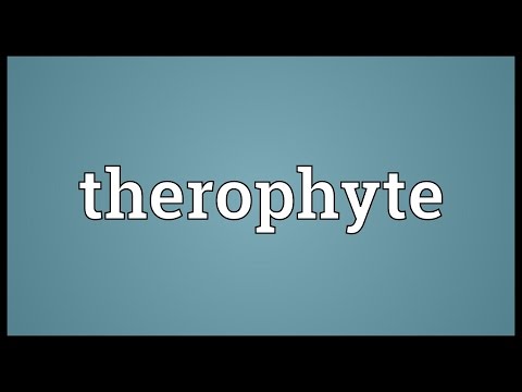 image-What are Cryptophytes plants?