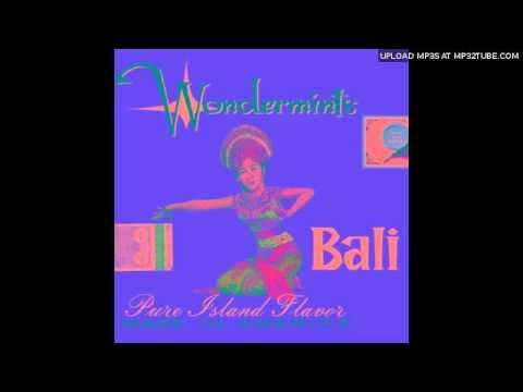 Wondermints - In And Around Greg Lake