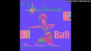 Wondermints - In And Around Greg Lake