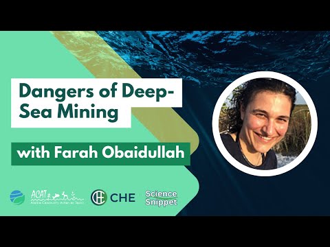 Farah Obaidullah on the Dangers of Deep-Sea Mining