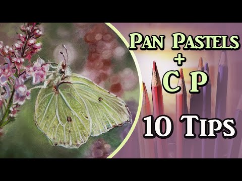 Pan Pastels + Colored Pencil - 10 Tips