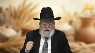 דף היומי בחצי שעה – מסכת מנחות דף פ'א