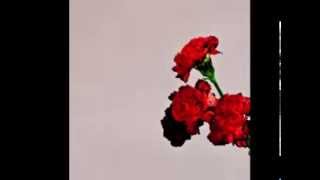 John Legend - For Тhe First Time + Download Link