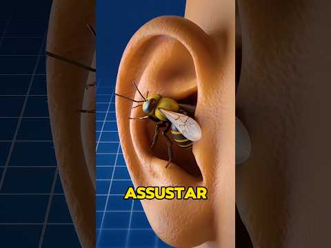 E SE UMA ABELHA ENTRAR NO SEU OUVIDO 😨 #shorts