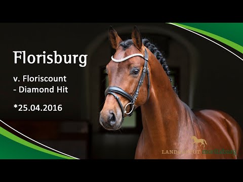 FLORISBURG v. Floriscount - Diamond Hit
