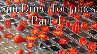 Make Your Own Sun Dried Tomatoes Part 1 | EverCrest