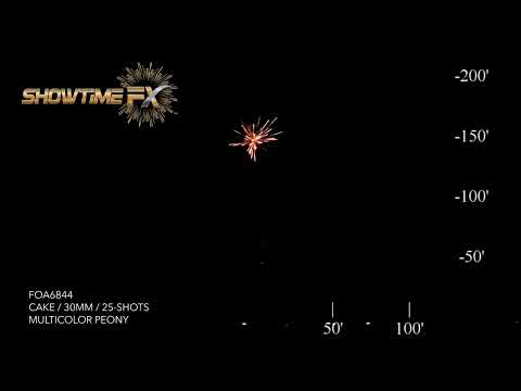 FOA6844: MULTICOLOR PEONY