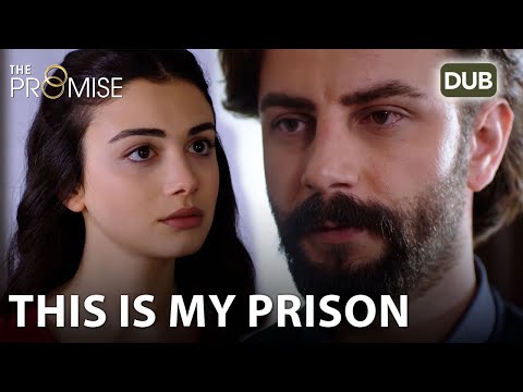 Emir finally made his apology speech | Waada (The Promise) - Episode 26