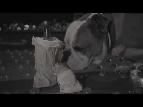 Lions of Suburbia - Journey to Midnight (Official Video)