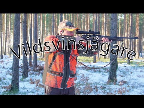 December Jakt på vildsvin