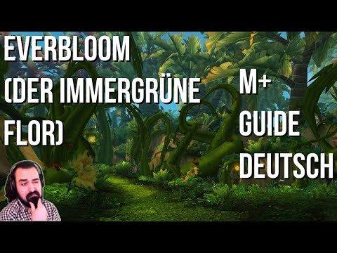 Everbloom (Der Immergrüne Flor) M+ Guide Deutsch | Doctorio