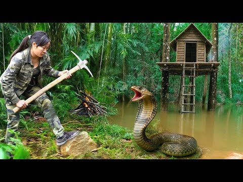 365 Days Solo Bushcraft Overnight | Cute Little Companion & Trip to Find Forest Specialties