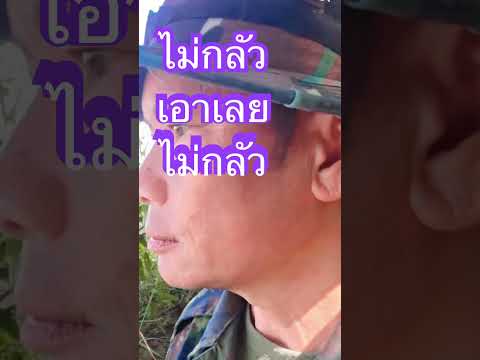 ไม่เคยกลัว #shortsfeed25