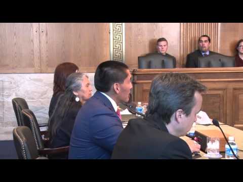 AZ State Senator testifies in congress.