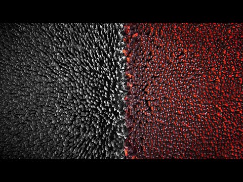 Infinite Zombies vs 1,000,000 Shield Wall ARMY | UEBS 2