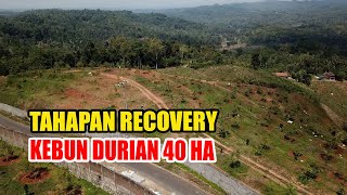 Download lagu Pemulihan Kebun Durian 40 Hektar Diawali Dengan Prunning mp3 Download lagu Pemulihan Kebun Durian 40 Hektar Diawali Dengan Prunning mp3