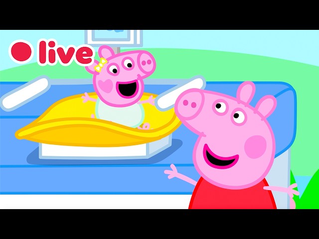 Vídeo relacionado con Peppa Pig Momentos AST, Multicolor, S (Hasbro F2216)