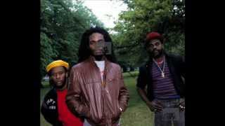 The Mighty Diamonds - No Crawling, No Bawling