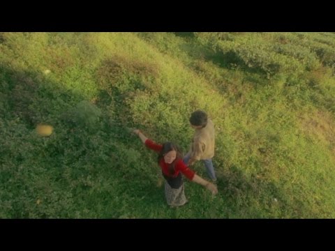 Thaha na pai... Dhruva Tara OST