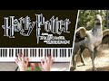 Buckbeak's Flight - Harry Potter and the Prisoner of Azkaban || PIANO COVER