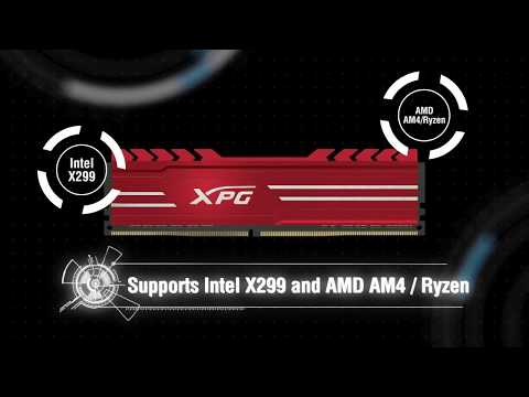 8GB XPG Gammix D10 DDR4 Memory Module 2666 mhz at ₹ 10000 8GB XPG Gammix D10 DDR4 Memory Module 2666 mhz at ₹ 10000
