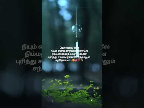 Thollai enna neeyum ennai ninaithal song what's app status 💚