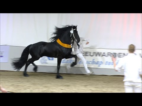 Herre 524 algemeen kampioen