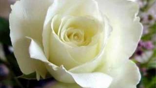 MARIA BETHANIA     " DONA DO DOM "