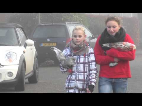 Vogelvoederactie Vako handbal Vries (5)