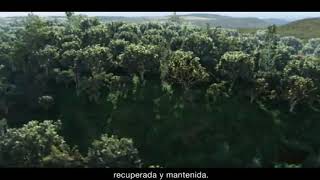 Miniatura do vídeo