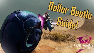 Guild Wars 2 - Roller Beetle Guide & Race!