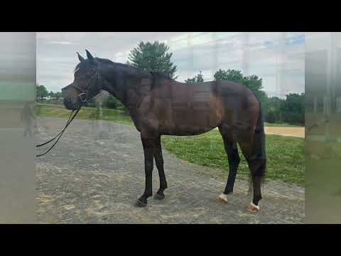 Fifi video 2