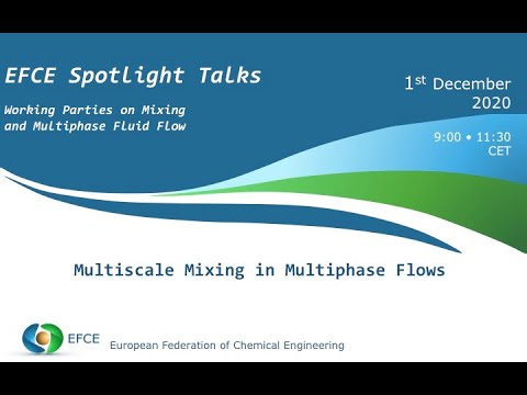 EFCE Spotlight Talks - Multiscale Mixing in Multiphase Flows - 1 december 2020