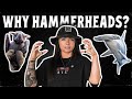 The Evolution Of The Hammerhead Sharks More Lindsay Nikole