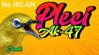 Download lagu MASTERAN PLECI TEMBAKAN KASAR || SUARA JERNIH DURASI 1 JAM mp3