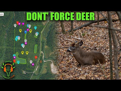 Make Deer Behavior Work For Your Property with Nick Pullano