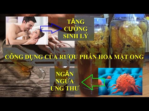 , title : 'RƯỢU NGÂM PHẤN HOA MẬT ONG CÓ TÁC DỤNG HỖ TRỢ BỆNH UNG THƯ TĂNG CƯỜNG SINH LÝ || TIẾN TIN TỨC'