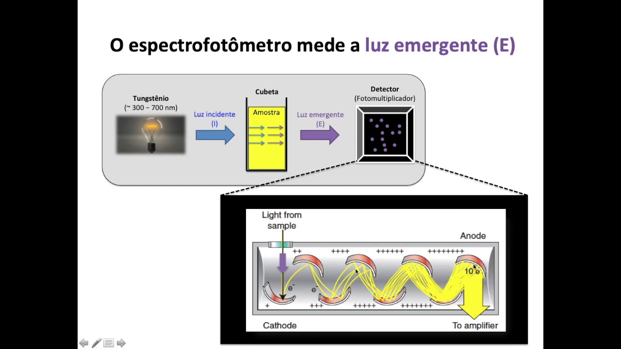 S02_V03 - Espectrofotometria