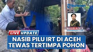Nasib Pilu IRT di Aceh Timur, Sosoknya Meninggal Tertimpa Pohon saat Tidur Lelap di Rumahnya