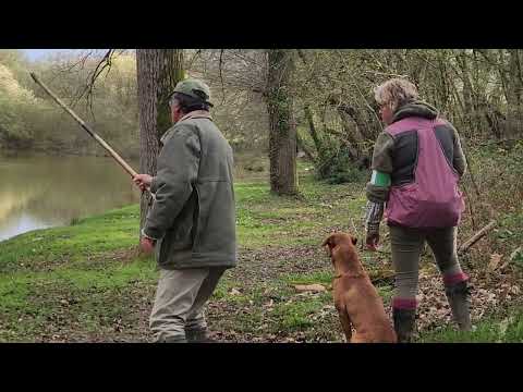 working test 23 mars 2024 aster Njord of royal pleasure à Gwendollyn Pieters