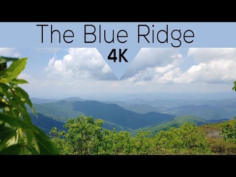 4 Hours of Mountain Birdsong - The Blue Ridge 4K - Relaxing/Studying/Meditating