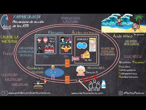 Con este video JAMÁS olvidarás el Mecanismo de Acción de los Antibióticos | Mentes Médicas
