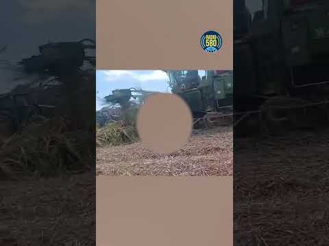 Tres sujetos fueron #detenidos luego de causar el #deceso de un #cocodrilo en #Chinandega #Radio580