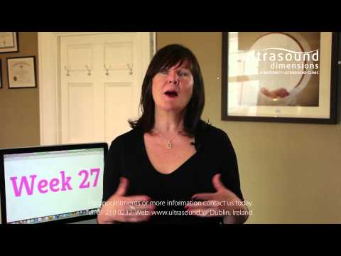 27 Weeks Pregnant - Your 27th Week Of Pregnancy