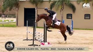 Video de Comme Calido Mil
