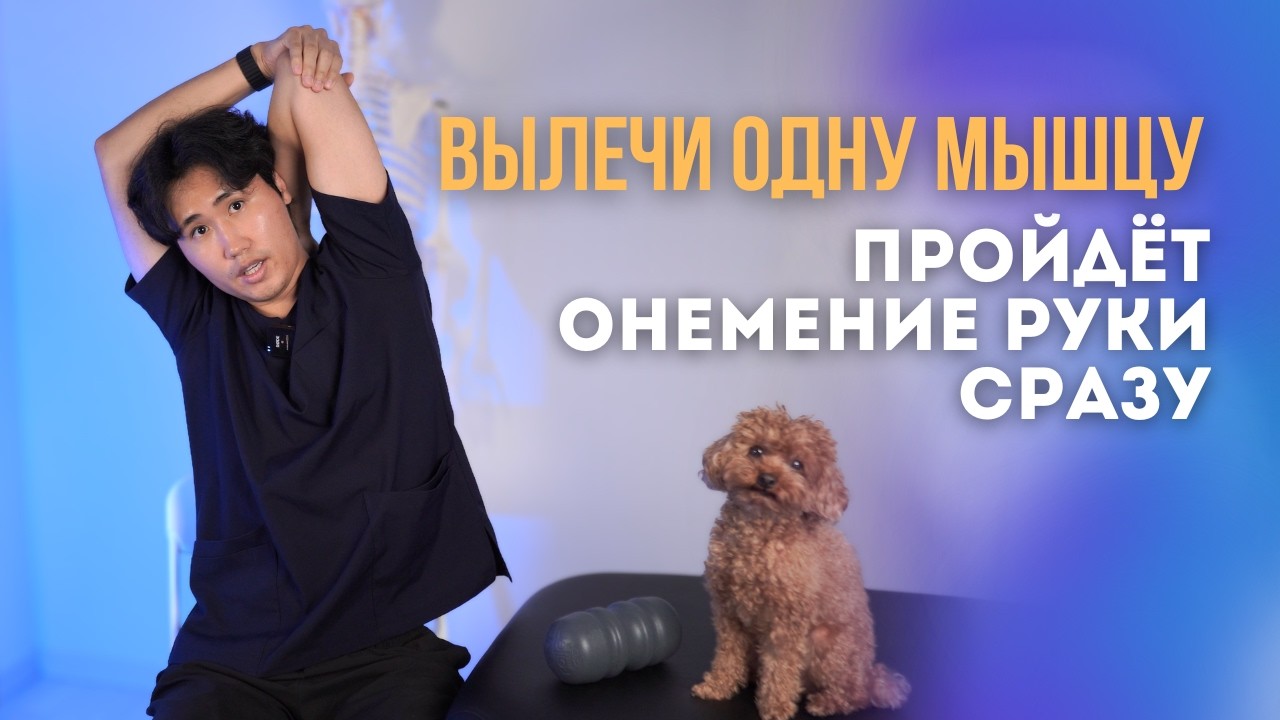 Вылечи ОДНУ МЫШЦУ, пройдет ОНЕМЕНИЕ РУКИ сразу.