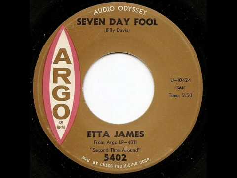 Seven Day Fool Thumbnail
