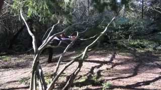 Dive Roll Sampler - Tom Coppola