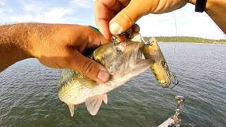 SURPRISE Fish Catch for Dinner!! (Multi-species Ozark Fishing)